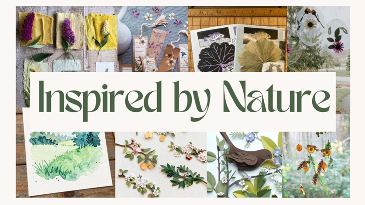 Inspired by Nature at Volo Bog State Natural Area